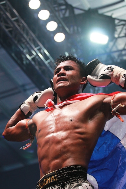 MMA Brasileiro: Segredos dos Lutadores de Elite e a Ciência do Sucesso