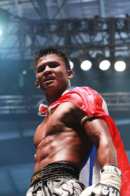 Boxe Brasileiro: Técnicas Secretas de Nocaute e Condicionamento